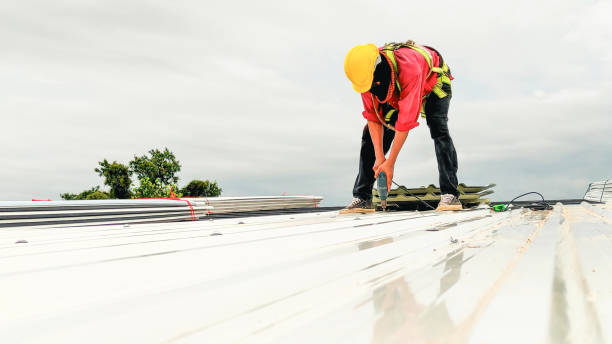 Roof Restoration in Waverly, MI